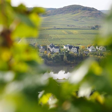 Wein & Gaestehaus Porten-Becker Köwerich Zewnętrze zdjęcie